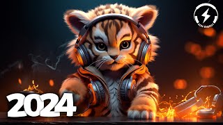 Music Mix 2024 🎧 EDM Mix of Popular Songs 🎧 EDM Gaming Music Mix 112 [upl. by Llehsim]