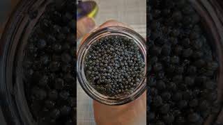 iranian beluga caviar  unboxing [upl. by Stormi]