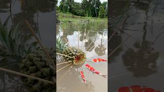 Survival Skills SIMPLE and USEFUL with Pineapple fish trap camping bushcraft outdoors [upl. by Farand]