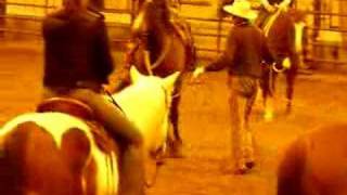 Horse training with Buck Brannaman [upl. by Hairim873]