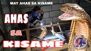 AHAS SA KISAME PANTOC ZARAGOZA NUEVA ECIJA [upl. by Fitzpatrick]