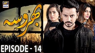 Bharosa Ep 14  10th April 2017  ARY Digital Drama [upl. by Pettifer]