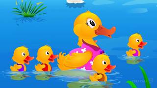 Cinq Canetons Five Little Ducks  ChuChu TV Comptines et Chansons pour Enfants [upl. by Charissa]