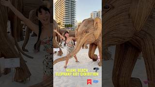 Things to do in Miami Beach 2024 [upl. by Arman]