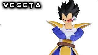 SH Figuarts VEGETA Dragon Ball Z Action Figure Toy Review [upl. by Trip]