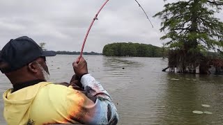 Fishing Tour  Horseshoe Lake Part 2 [upl. by Harelda]