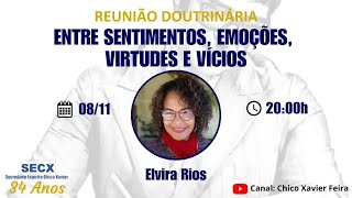 Entre sentimentos emoções virtudes e vícios  Elvira Rios [upl. by Won]