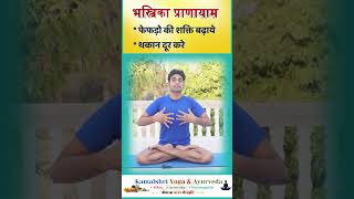 Bhastrika pranayama lungs health short2024 😀 Breathing exercise [upl. by Inez]