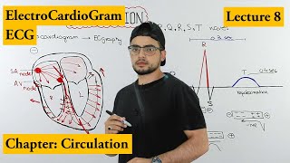 ECG Electrocardiogram fully explained  Chapter circulation  Video 8 [upl. by Gaspar]