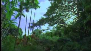 SDDS Jungle Trailer Sony Dynamic Digital Sound [upl. by Iharas]