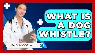 What Is A Dog Whistle  PetGuide360com [upl. by Odnala]