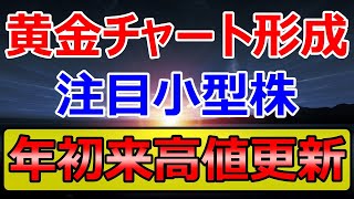 カップウィズハンドルの注目小型株！？上昇トレンドに転換しそうなアドソル日進 [upl. by Daron493]