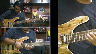 La Piragua  Bass Cover [upl. by Lasko]