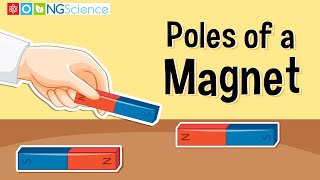 Poles of a Magnet [upl. by Conner]