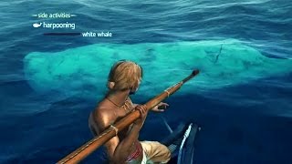 Make More Money In Margoria A Harpoon Fishing Paradise in Black Desert Online [upl. by Dorca]