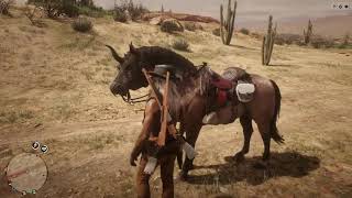 Red Dead Redemption 2 Online  Dappled Buckskin Horse  Norfolk Roadster [upl. by Oxley]