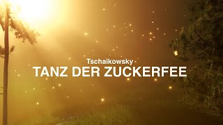 TANZ DER ZUCKERFEE🎻💕Tschaikowsky💛🎻NUSSKNACKER NATUREampCLASSICS Best of Klassik die man hören muss [upl. by Snapp]