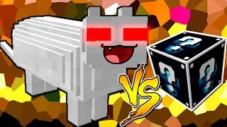 GATINHO VS LUCKY BLOCK ZEIYO MINECRAFT LUCKY BLOCK CHALLENGE [upl. by Thomajan]