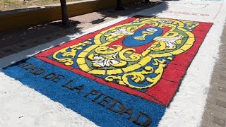 Alfombras del Corpus en Jerez 2024 cofrademaniajerez [upl. by Wilsey]