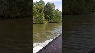 maduriver ambalangoda balapitiya nature srilanka tourism boat boatrides virul travel [upl. by Beverie]