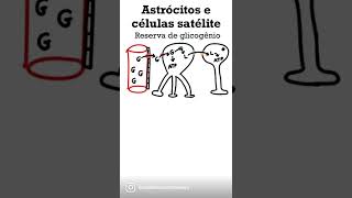 Células da glia  Astrócitos e Células satélite m [upl. by Maury]