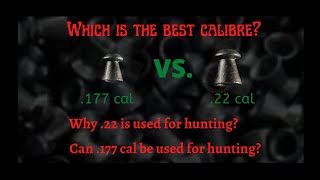 177 caliber Vs 22 caliber  Which calibre to choose [upl. by Burchett]