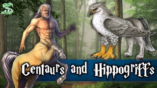 The History Of Centaurs And Hippogriffs Explained [upl. by Smail]