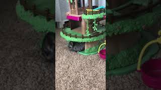 Chinchilla Plays in Doll House [upl. by Talyah]