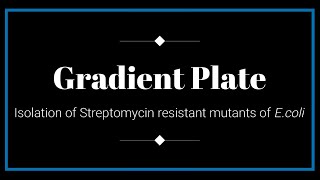 BSC  Sem  5  Isolation Of Streptomycin Resistant Mutants Of Ecoli By Gradient Plate Method [upl. by Yhtuv536]