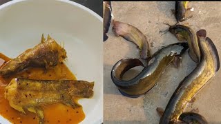 Singhi Fish Recipe ll सिंगी मछली बनाने का बहुत ही टेस्टी और आसान तरीका [upl. by Vogele]