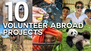 10 LIFE CHANGING VOLUNTEER ABROAD EXPERIENCES [upl. by Nyrb521]