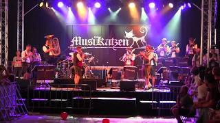 Musikatzen  Brooklyn  Woodstock der Blasmusik 2017 [upl. by Aisercal895]