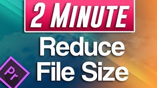 How To Change Size Of Video in Premiere Pro 2023  Enlarge or Shrink Video  Premiere Pro Tutorial [upl. by Thynne872]