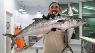 The Best Way to Fillet Spanish Mackerel [upl. by Rhodie]