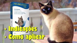 REVOLUTION pipeta para GATOS pulga piolho carrapato  Gatil Hauser [upl. by Kandace]