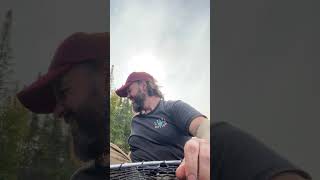 Tiger Trout Fall 2024  Part 2 trout wildtroutfishing fishing kayakfishing [upl. by Ophelia]