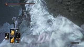 Dark Souls 3 Ashes of Ariandel  Crow Talons Location [upl. by Edahc]