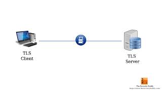 How does the TLS protocol work [upl. by Semajwerdna]