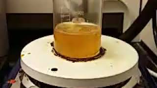 Reaction of Castor Oil With Sebacic Acid [upl. by Ellak]