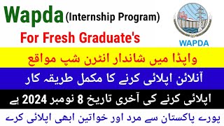 Wapda Started Internship Program For Fresh Graduates 20204  Complete Process of Online Applying [upl. by Eseerehc]