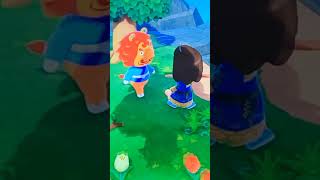 Villager hunting ACNH gone wrong animalcrossing animalcrossingnewhorizons shorts acnh [upl. by Fiel279]