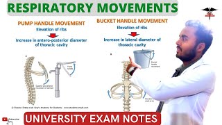 Movement of Respiration Bucket Handle Pump Handle Movement Respiratory system [upl. by Andrew197]