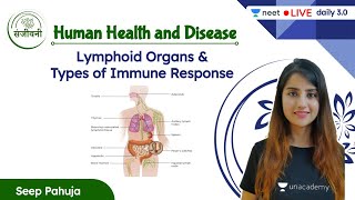 Lymphoid Organs amp Types of Immune Response  Human Health amp Disease  L4  Seep P [upl. by Nwahsirhc830]