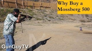 Why buy a Mossberg 500 [upl. by Machos]