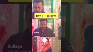 Day 11  Bulleya  best hindi songs bulleyasong sultan nayanramya besthindisong shorts [upl. by Kcirdneked]