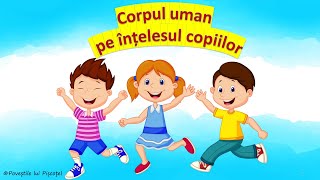 Corpul uman pe înțelesul copiilor  Corpul uman  grădiniță Corpul omenesc Corpul meu [upl. by Nielson]