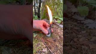 Selfmade kerosene lighter 💡 asmr bushcraft experiment survival outdoors forest [upl. by Ylek]