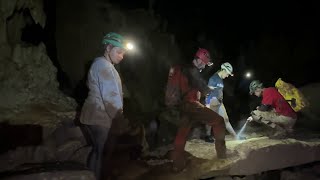 Rare bones found inside Natural Bridge Caverns could shed light on life during Ice Age [upl. by Annoyed]