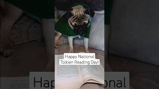 Happy National Tolkien Reading Day from Frodo the Feisty Pug frodothefeistypug lotr tolkien dog [upl. by Nylasej]