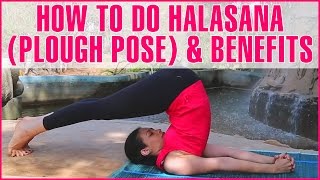 How To Do HALASANA PLOW POSE amp Its Benefits [upl. by Crain]